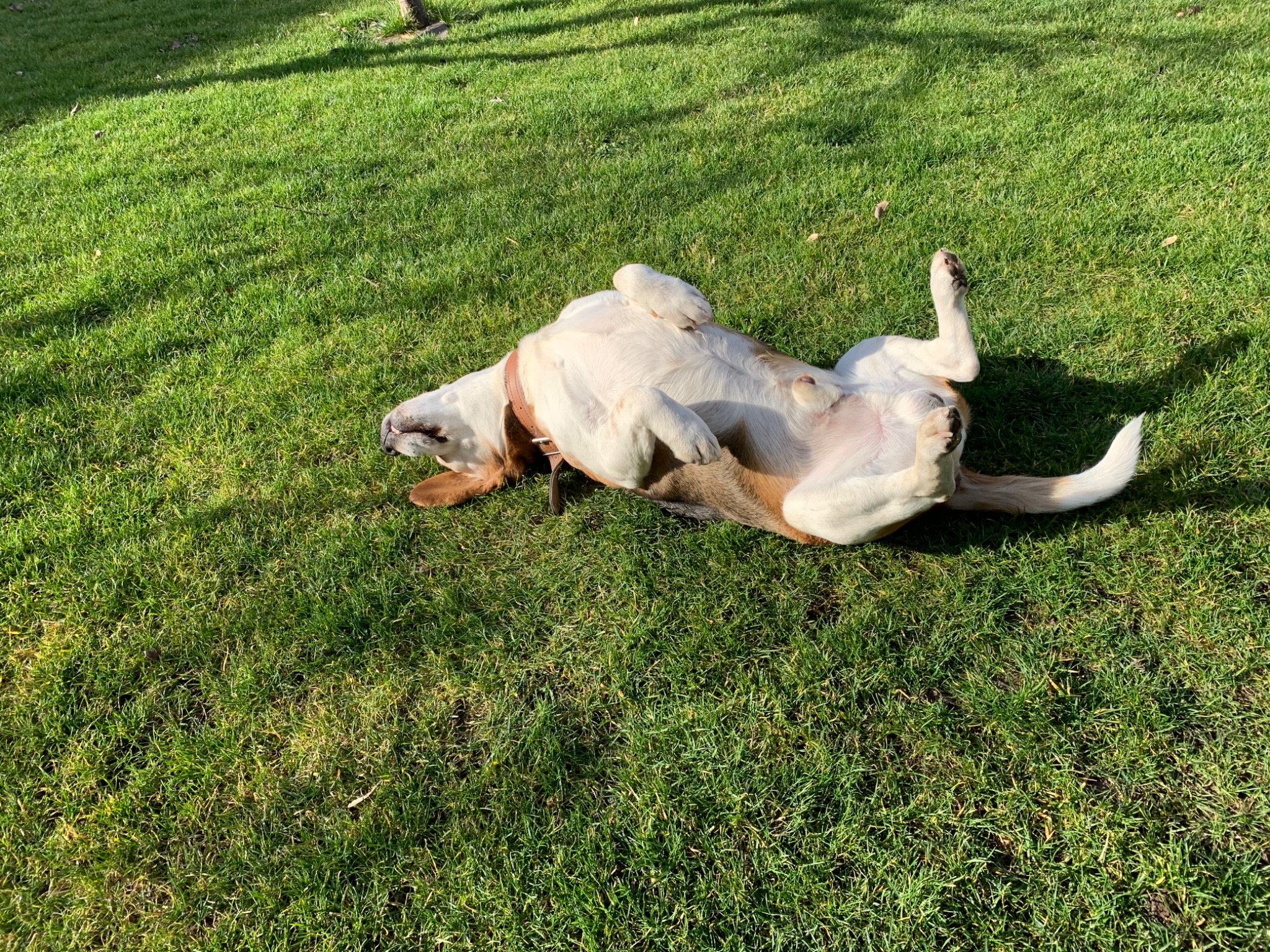 256E44A7 D9E9 43BC 994B 8C71F2FE6A16