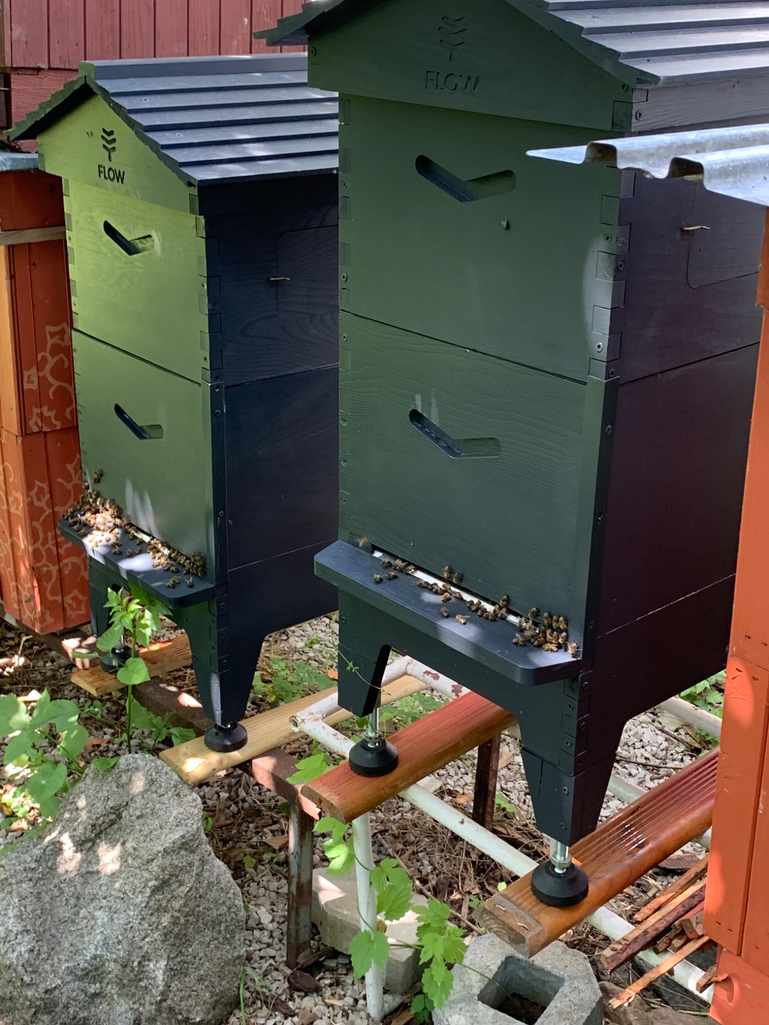 46139E68 67B6 4525 AD88 368A4FC2B5CA