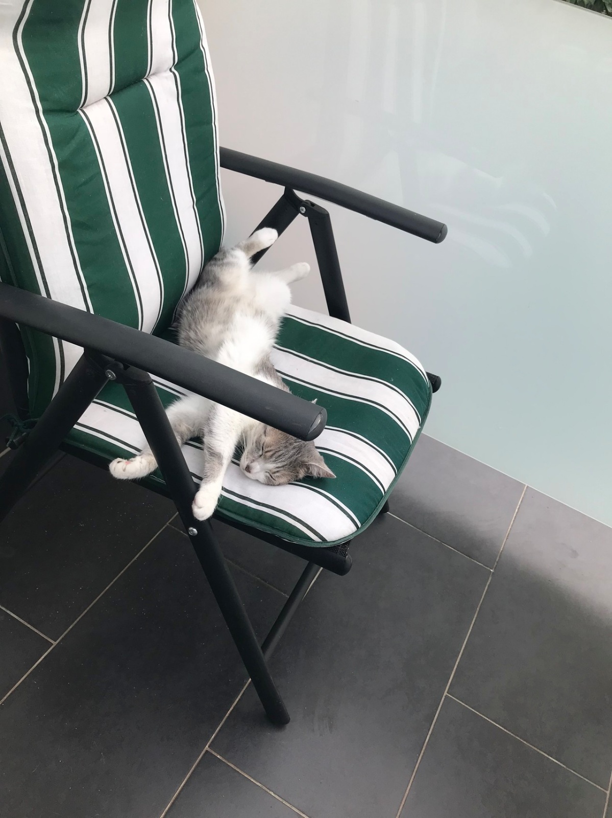 IMG 20180522 171051 1